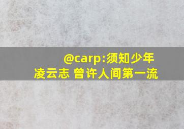 @carp:须知少年凌云志 曾许人间第一流